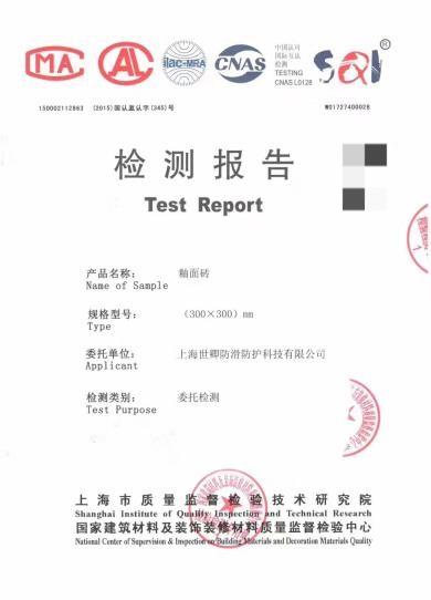 技術(shù)檢測報告1